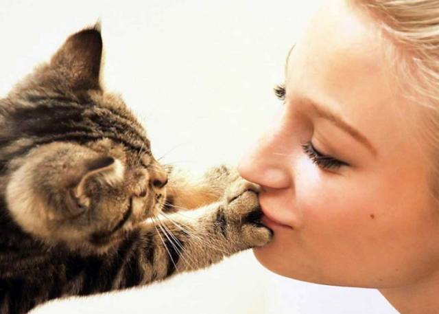 Как не заразится глистами от кошки