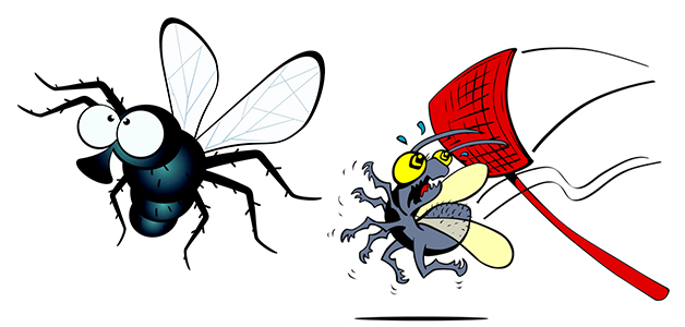 Народные средства от мух в доме
