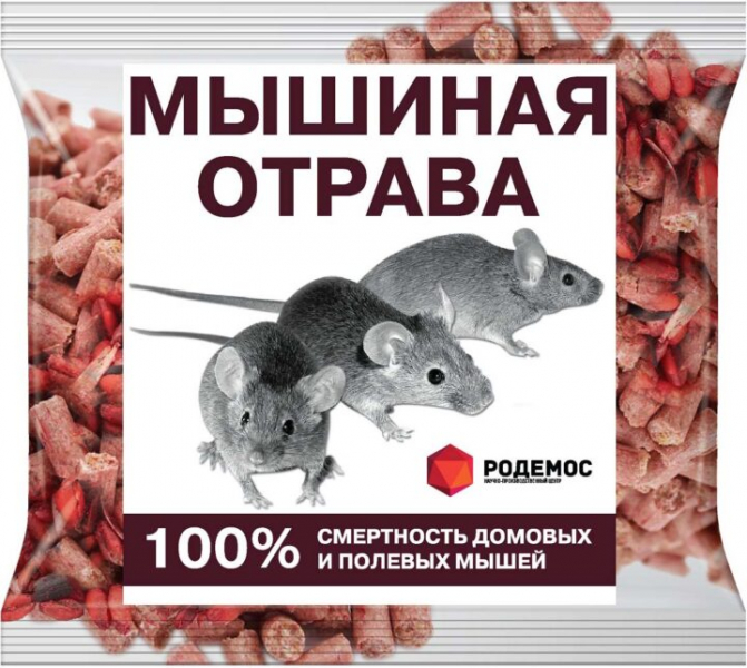 Эффективные способы избавиться от мышей