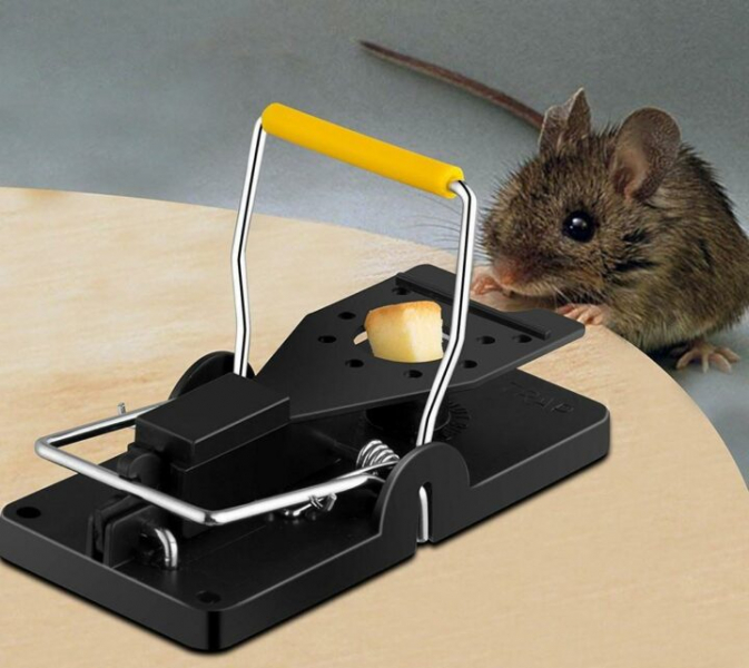 Эффективные способы избавиться от мышей